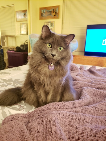 Entry image for Olivia. Clicking this image will show a larger photo