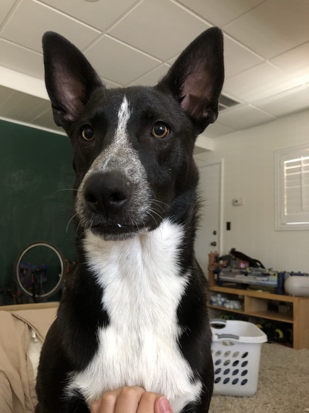 Entry image for Chew Ellen. Clicking this image will show a larger photo