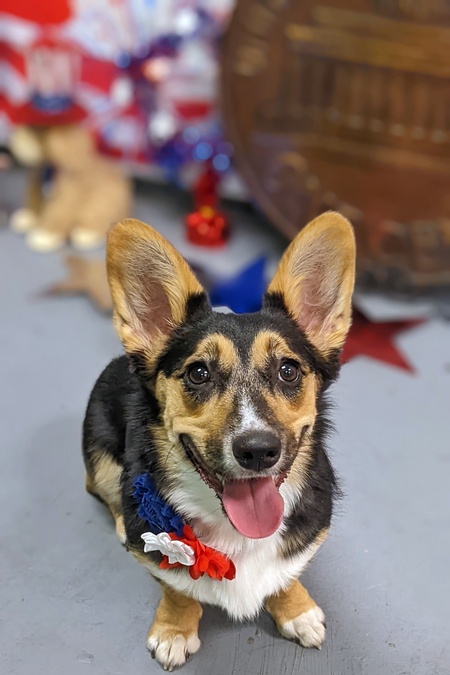 Entry image for Kodi. Clicking this image will show a larger photo