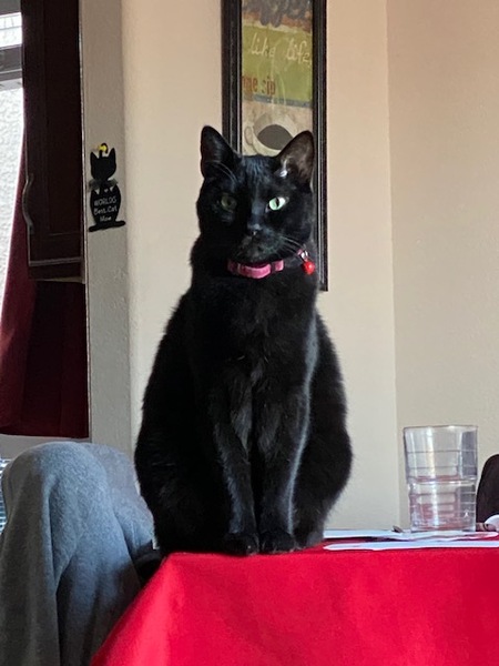 Entry image for Jetson. Clicking this image will show a larger photo