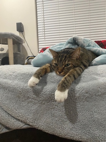 Entry image for Crosby. Clicking this image will show a larger photo