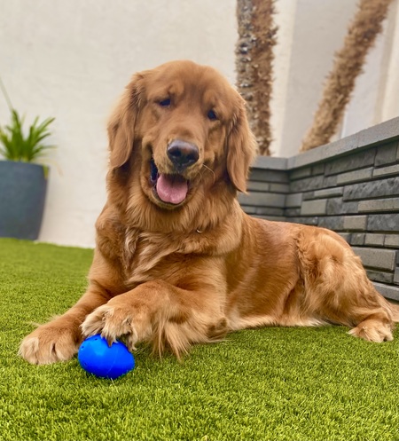 Entry image for Agatha “Aggie” . Clicking this image will show a larger photo