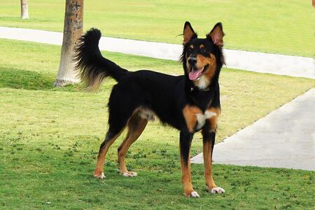 Entry image for Arby. Clicking this image will show a larger photo