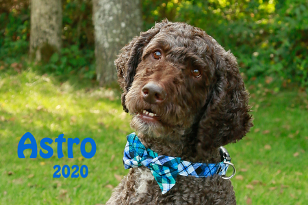 Astro