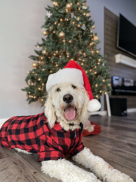Duke