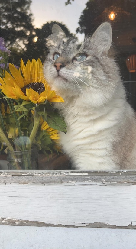 Steve