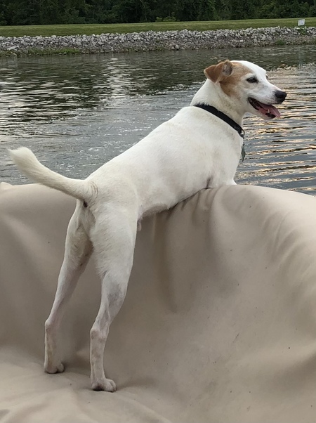 Max