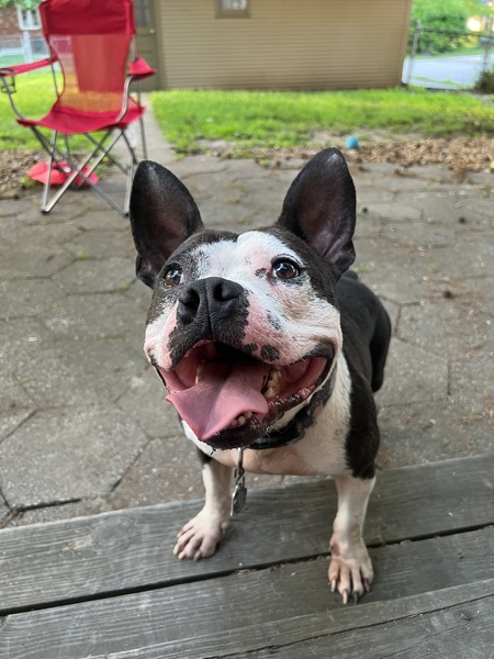 Benny