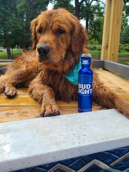 Gus