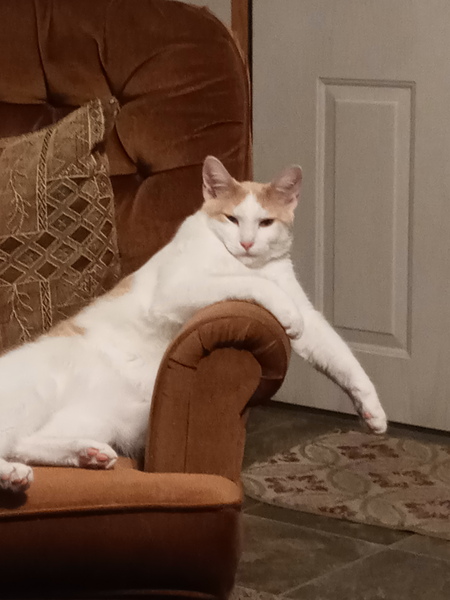 Leo