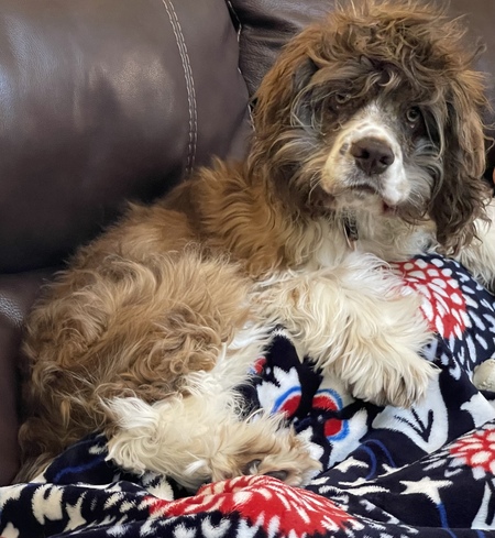 Oakley