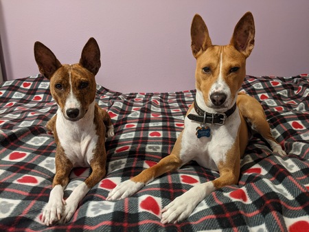 Tiegan & Miles