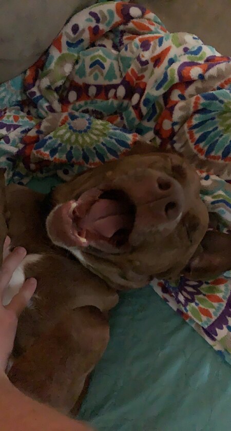 Rocky