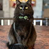 Entry image for Karnak