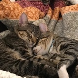 Entry image for Geordi and Teddy