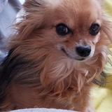 Entry image for Tegan Marie