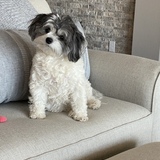 Entry image for Lucy