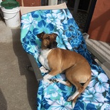 Entry image for Athena