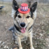 Entry image for Maverick