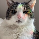 Entry image for Marvin