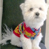 Entry image for Mikie