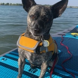 Entry image for Milo