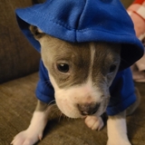 Entry image for Asher