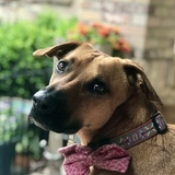 Entry image for Gilie (joy to me in Hebrew)