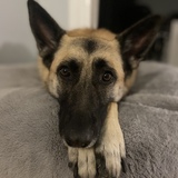 Entry image for Lola