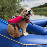 Entry image for Chelsea