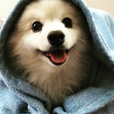 Entry image for Sake