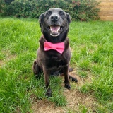 Entry image for Juneau