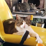 Entry image for Sophia and Ivar 