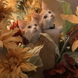 Entry image for Names unrevealed