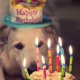 Entry image for Buddy Montgomery