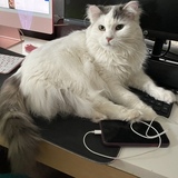 Entry image for Agnes Crumplebottom 