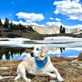 Entry image for Bob Marley