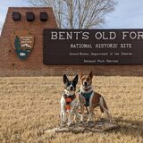 Entry image for Zeebo and Jesse