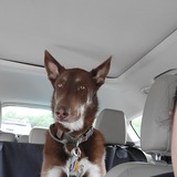 Entry image for Loki