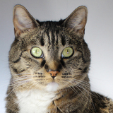 Entry image for Madelyn