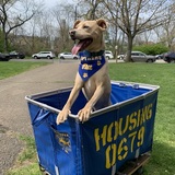 Entry image for Conrad