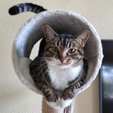 Entry image for Lucy