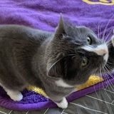 Entry image for Pinky