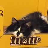 Entry image for Little Bit