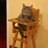 Entry image for Charlotte 