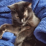 Entry image for Magic