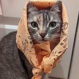 Entry image for Hermione