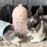 Entry image for Skye and Her Baby Beanie