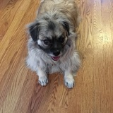 Entry image for Fortune 