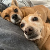 Entry image for Leo and Abby